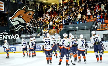 Hokejisti Michaloviec dostali od vedenia klubu netradičný finančný postih za predošlé dve domáce prehry. 