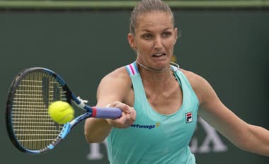 Tenisové hviezdy v netradičných úlohách: Plíšková maliarkou, Tsitsipas záhradníkom