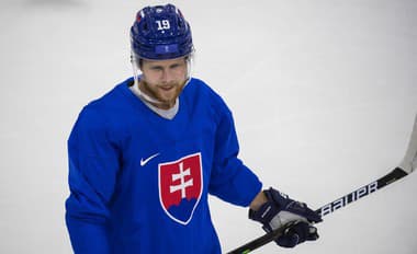 Na snímke slovenský hokejový reprezentant Michal Krištof počas tréningu.