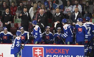V pozadí tréner slovenskej hokejovej reprezentácie Craig Ramsay na striedačke v prípravnom hokejovom zápase pred MS.