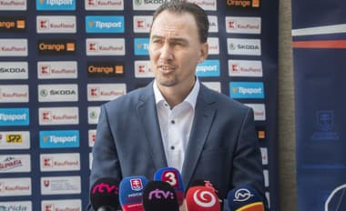 Ligu vedenú SZĽH podporuje aj IIHF, tvrdí M. Šatan: Budú na Slovensku dve súťaže?