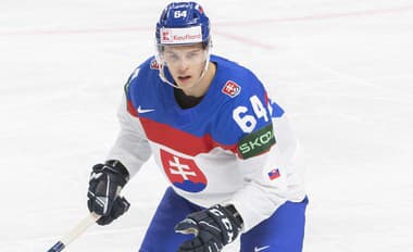 Do NHL mieri ďalší slovenský hokejista: Reprezentačný obranca sa dohodol s týmto klubom!