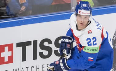 V uplynulej sezóne debutoval v NHL: Slovenský reprezentant neprežil škrty v kempe