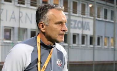 Český futbalový tréner Roman Skuhravý