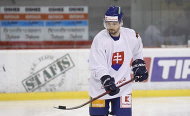 Lantoši v Boleslavi končí: Najskôr šampionát, potom ruská KHL?