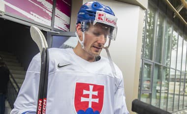 Slovenský hokejový útočník Richard Pánik.
