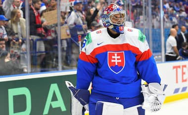 Slovenskú hokejovú reprezentáciu posilní na nadchádzajúcom finálovom turnaji kvalifikácie ZOH 2026 aj brankár Samuel Hlavaj. 