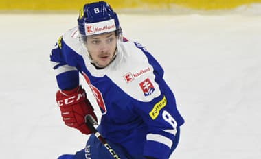 Na šancu v NHL si ešte musí počkať: Škrty v zámorí neprežil ďalší Slovák