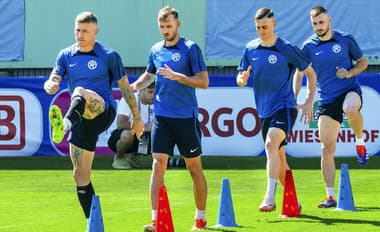 Slovenskí futbaloví reprezentanti. 