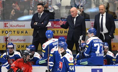 Slovenská reprezentácia dosiahla druhú najdlhšiu víťaznú sériu v histórii: Blízko k rekordu cez rybníkový hokej