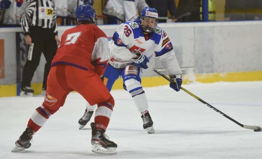 Slovenský hokejista Servác Petrovský (18) strelil v kanadskej juniorskej súťaži OHL už svoj tretí hetrik v sezóne. Ani ten však nestačil ...