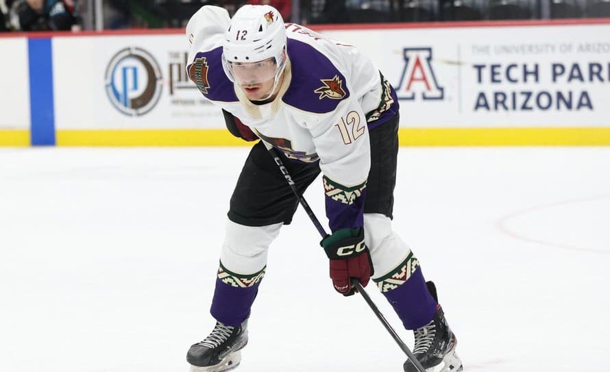 Slovenský hokejista Miloš Kelemen je blízko debutu v NHL. Vedenie Arizony Coyotes ho v utorok povolalo z farmárskeho mužstva Tucson Roadrunners ...