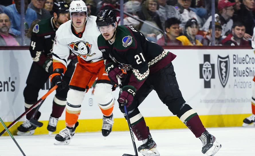 Vedenie klubu NHL Arizona Coyotes poslalo slovenského hokejistu Miloša Kelemena (23) späť do farmárskeho mužstva Tucson Roadrunners (AHL).