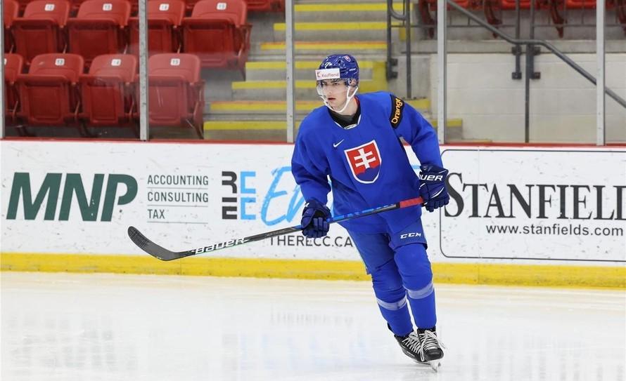 Slovenský hokejista Šimon Nemec strelil svoj šiesty gól v AHL. 