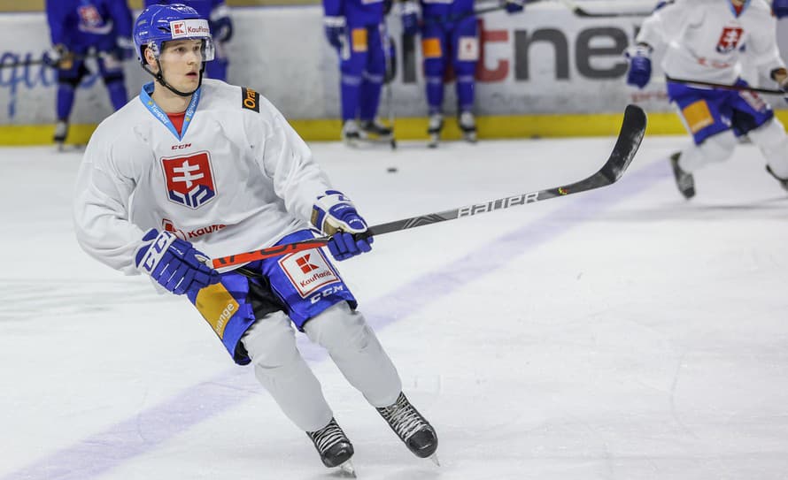 Slovenský hokejový obranca Samuel Kňažko (20) je blízko debutu v NHL. Vedenie Columbusu Blue Jackets ho v stredu povolalo z farmy v Clevelande ...
