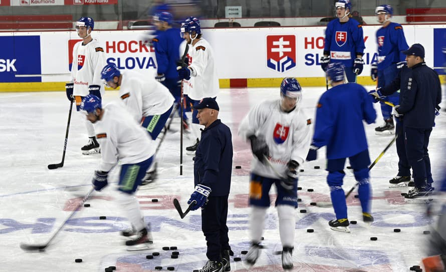 Slovenských hokejových reprezentantov čakajú tento týždeň v Bratislave dve tréningové jednotky. Spolu s trénermi doladia posledné detaily ...