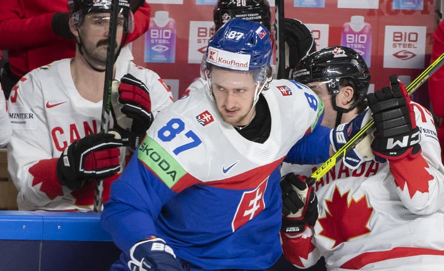 Slovenský hokejista Pavol Regenda (23) má za sebou náročnú sezónu. Premiérovú účasť v NHL okorenil gólom v drese Anaheimu, no väčšiu ...