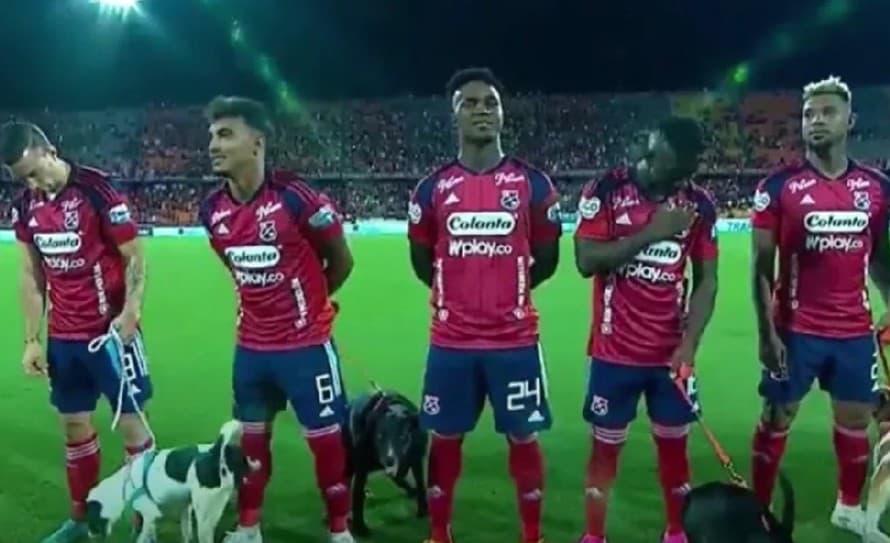 Kuriózny okamih sa udial pred zápasom najvyššej kolumbijskej futbalovej ligy medzi mužstvami Independiente Medelin a Junior de Barranquilla.