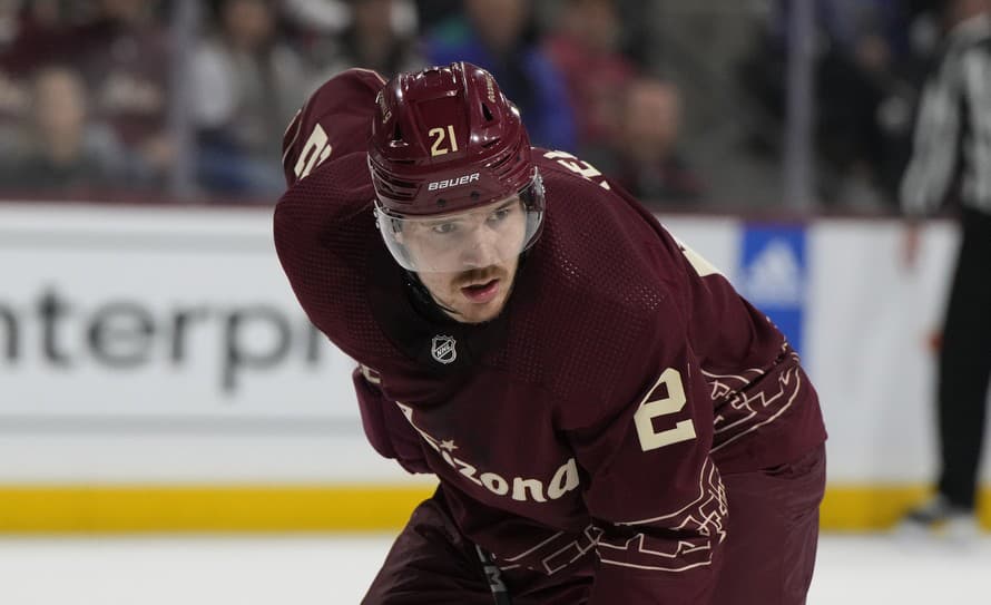 Slovenskí hokejisti Patrik Koch (26) a Miloš Kelemen (24) skončili v prípravnom kempe tímu NHL Arizona Coyotes. 