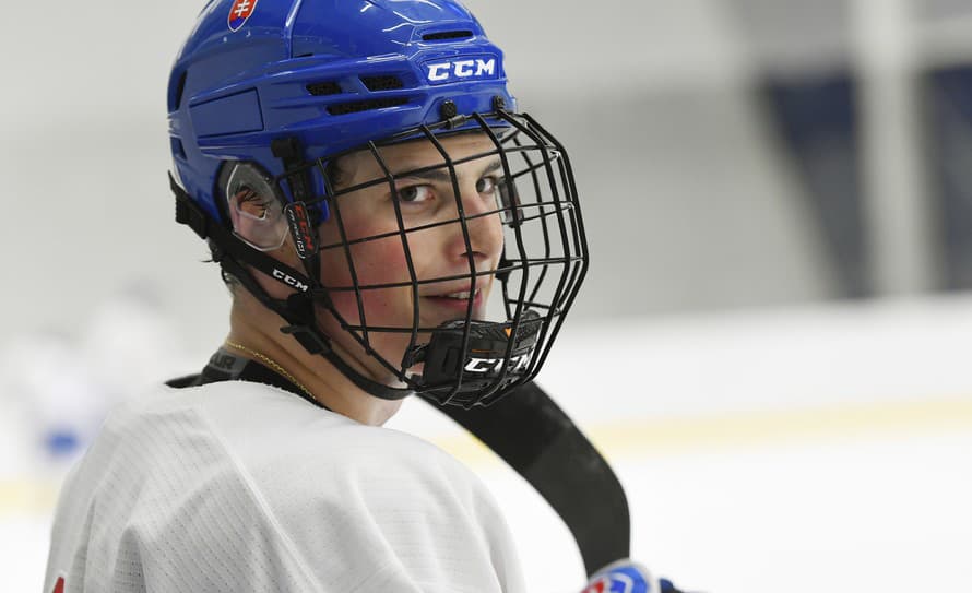 Slovenský hokejista Dalibor Dvorský (18) debutoval gólom za Sudbury Wolves v kanadskej juniorskej súťaži Ontario Hockey League (OHL).