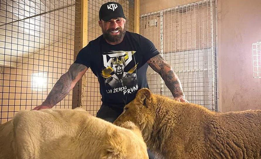 Karlos Vémola príde o svoju tigricu Antoniu Rambu. Podľa expertov v jeho chove psychicky trpela a v budúcnosti mohla byť veľmi nebezpečná ...