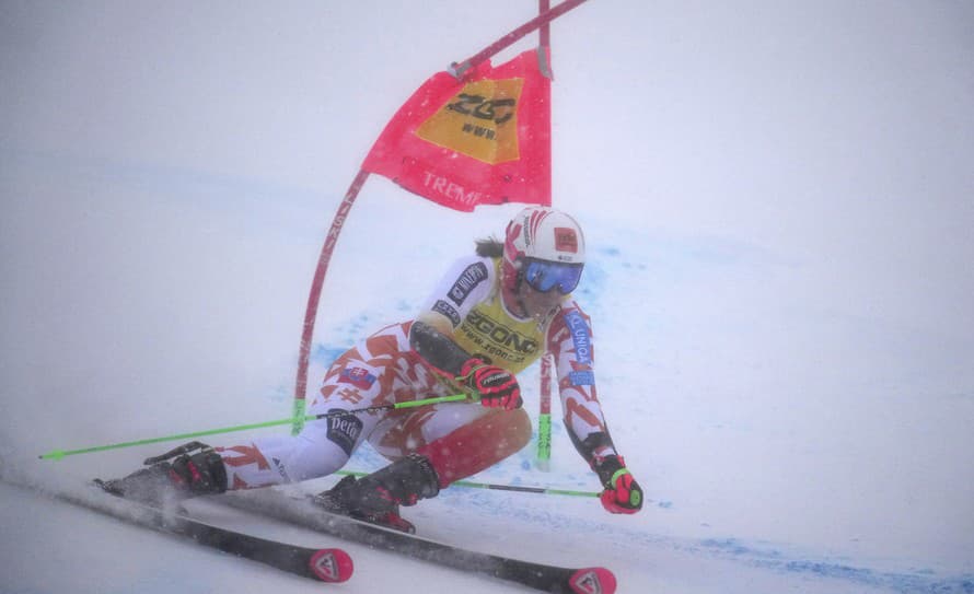 Kritika sa valí z každej strany! Pre slovenskú lyžiarsku hviezdu Petru Vlhovú (28) boli nedeľňajšie preteky v obrovskom slalome v kanadskom ...
