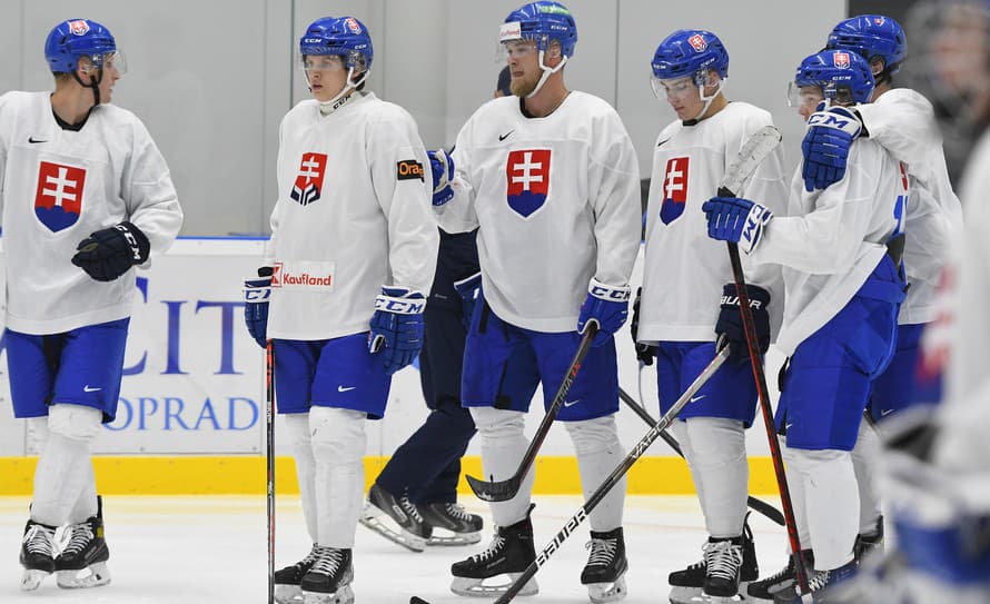 Dvadsaťšesť hráčov a jedenásť členov realizačného tímu v rámci výpravy slovenskej hokejovej reprezentácie do 20 rokov odletí v pondelok ...