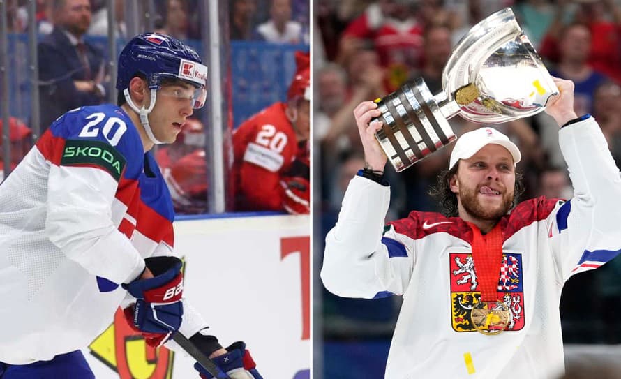 Vedenie NHL chystá vo februári 2025 Turnaj štyroch krajín, na ktorom však budú chýbať Česi aj Slováci. Nepáči sa to ani najväčšej hviezde ...