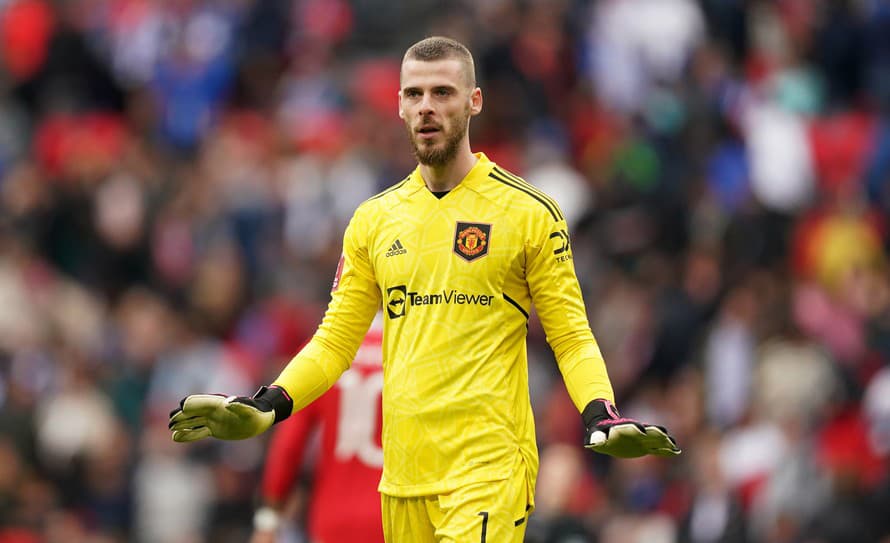 Španielsky futbalový brankár David de Gea bude v novej sezóne pôsobiť v ACF Fiorentina.