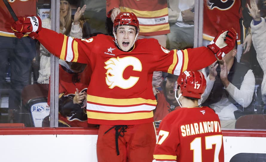 Slovenský hokejista Samuel Honzek sa zranil a v drese tímu Calgary Flames sa v NHL neobjaví minimálne týždeň. Devätnásťročný krídelník ...