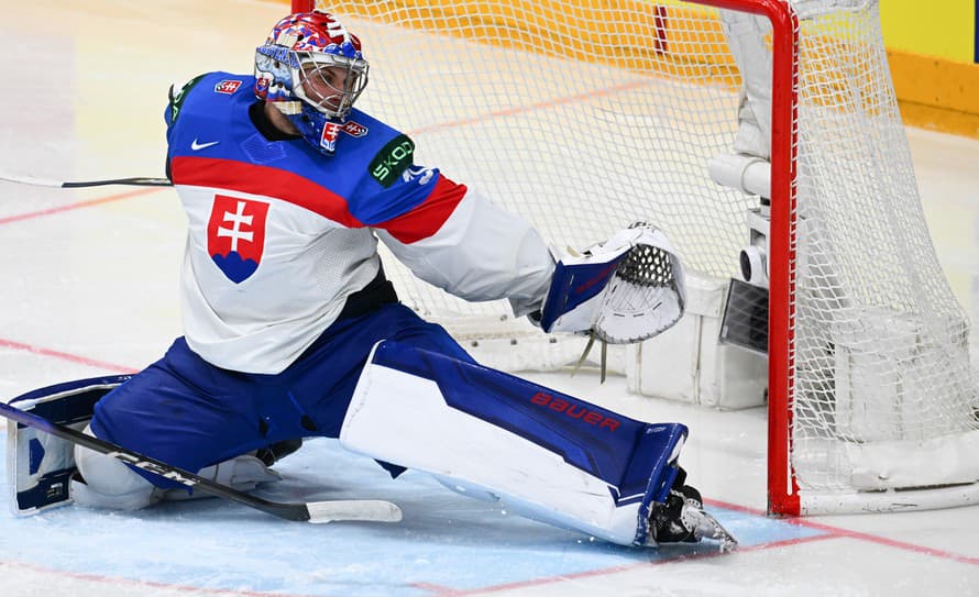 Slovenský brankár Samuel Hlavaj (23) sa sťahuje z Iowa Heartlanders v nižšej súťaži ECHL späť do tímu Iowa Wild, ktorý pôsobí v AHL. ...