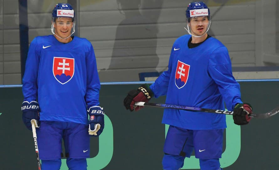 Počet slovenských hokejistov v zámorí sa zmenšil. Miloš Kelemen (25) a Patrik Koch (27) už nebudú čakať na prípadnú väčšiu šancu v NHL ...