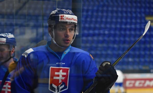 Slovenský hokejový útočník Marko Daňo.