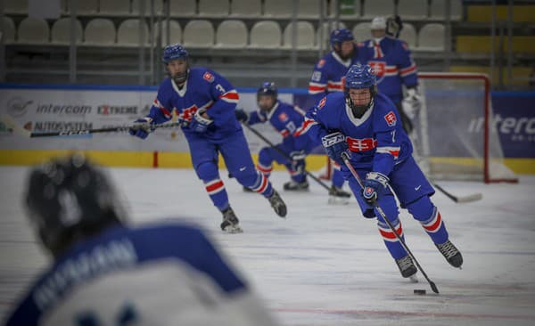 Slovenskí hokejisti v zápase proti Fínsku.