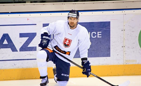 Andrej Meszároš ukončil profesionálnu hráčsku kariéru.