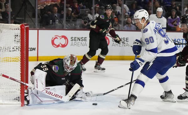 Brankár Connor Ingram (39) z Arizony Coyotes a center Vladislav Namestnikov z Tampy Bay Lighting počas zápasu zámorskej NHL.