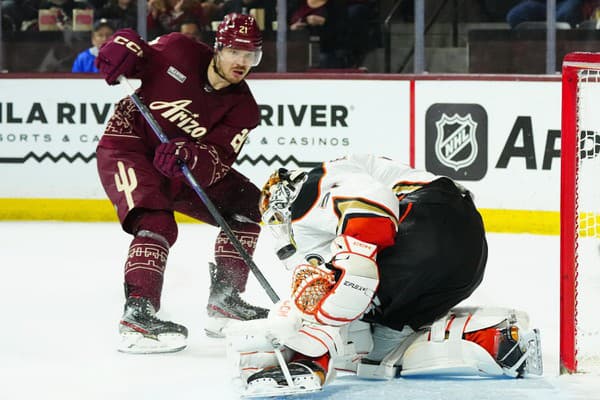 Miloš Kelemen na svoju príležitosť zahrať si opäť v NHL čaká na farme.