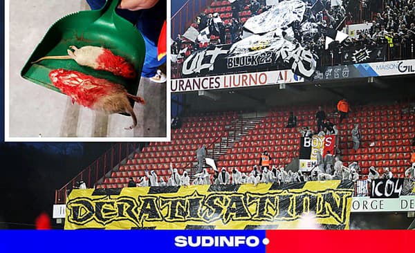 Väčší primitivizmus ešte žiadni ultras nepredviedli!