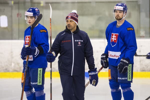 Slovenskí hokejisti sa prirpavujú na blížiace sa MS.