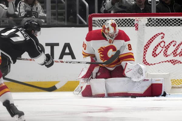 Brankár Daniel Vladař z Calgary českú hokejovú reprezentáciu v príprave na májové majstrovstvá sveta v Rige a Tampere nedoplní.