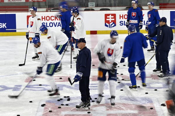 Slovenskí hokejisti v týchto dňoch finišujú s prípravou na MS.