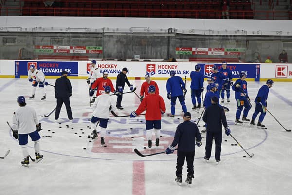 Slovenskí hokejisti v týchto dňoch finišujú s prípravou na MS.