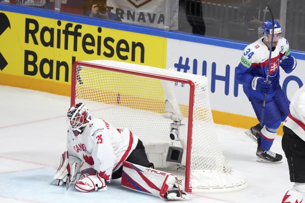 Slovenský hokejový reprezentant Peter Cehlárik.