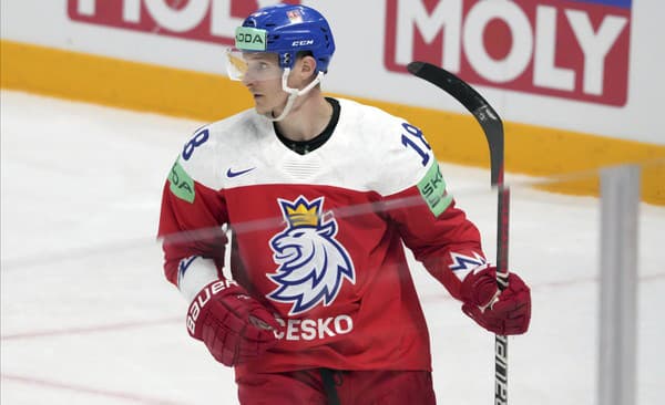 Český hokejista Dominik Kubalík sa teší z gólu.