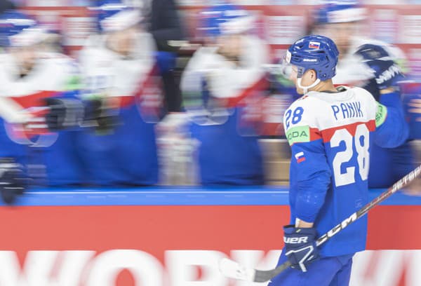 Richard Pánik (Slovensko) oslavuje gól po samostatnom nájazde v zápase Slovensko - Kanada.