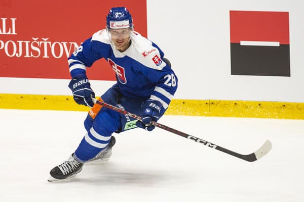 Na snímke slovenský hokejový reprezentant Richard Pánik.