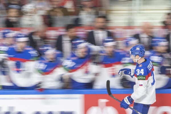 Na snímke slovenský hokejista Peter Cehlárik sa teší so spoluhráčmi z gólu.