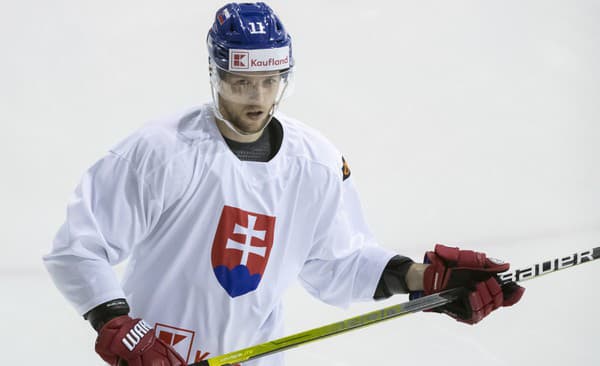Na snímke slovenský hokejový reprezentant Martin Gernát.