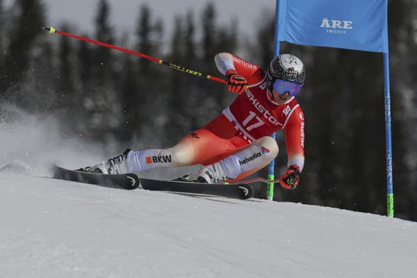  Švajčiarska lyžiarka Wendy Holdenerová.