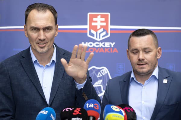 Výkonný výbor SZĽH udelí extraligové licencie až o niekoľko dní.